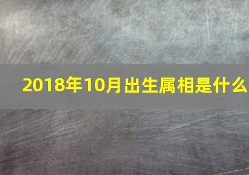 2018年10月出生属相是什么