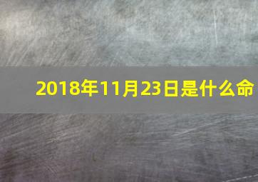 2018年11月23日是什么命