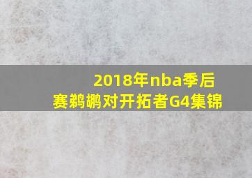 2018年nba季后赛鹈鹕对开拓者G4集锦