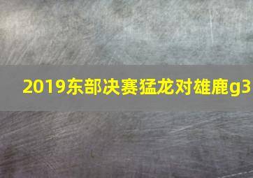 2019东部决赛猛龙对雄鹿g3