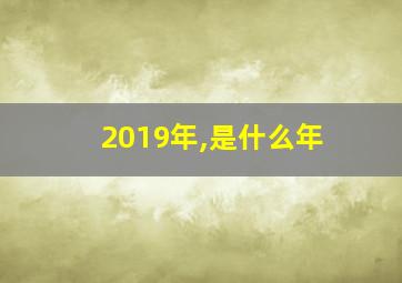 2019年,是什么年