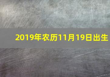 2019年农历11月19日出生