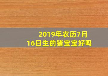 2019年农历7月16日生的猪宝宝好吗