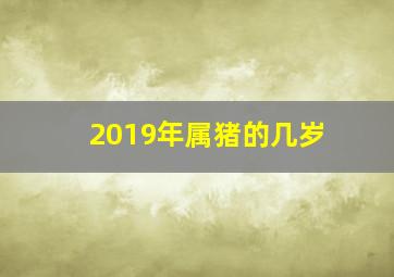 2019年属猪的几岁