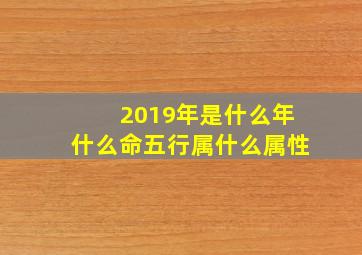 2019年是什么年什么命五行属什么属性