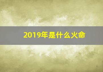 2019年是什么火命