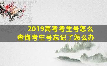 2019高考考生号怎么查询考生号忘记了怎么办