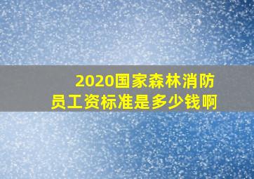 2020国家森林消防员工资标准是多少钱啊