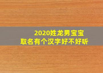 2020姓龙男宝宝取名有个汉字好不好听