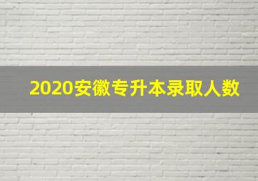 2020安徽专升本录取人数