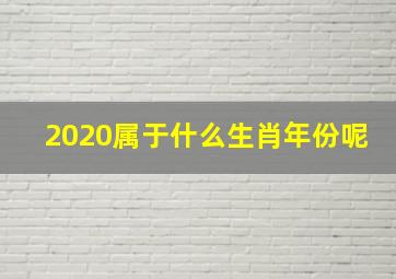 2020属于什么生肖年份呢