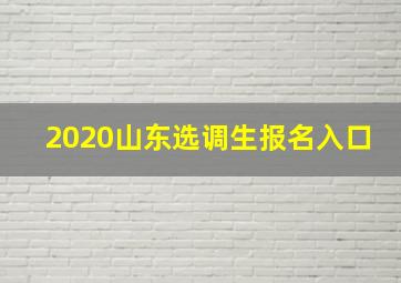 2020山东选调生报名入口