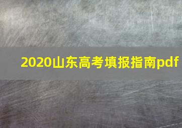 2020山东高考填报指南pdf