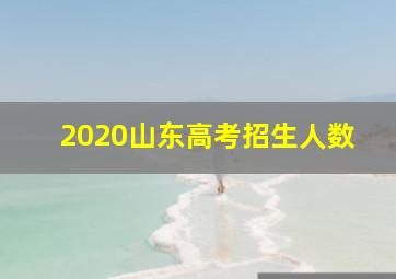 2020山东高考招生人数