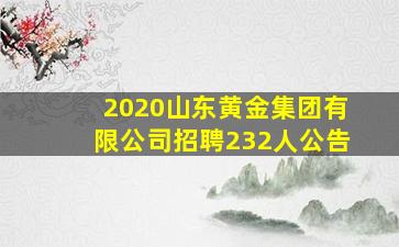 2020山东黄金集团有限公司招聘232人公告