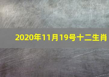 2020年11月19号十二生肖