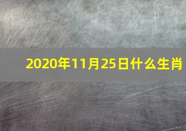 2020年11月25日什么生肖