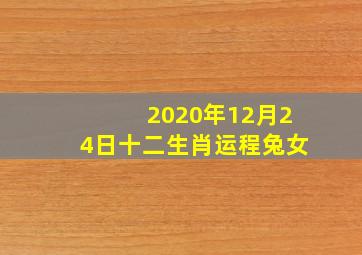 2020年12月24日十二生肖运程兔女