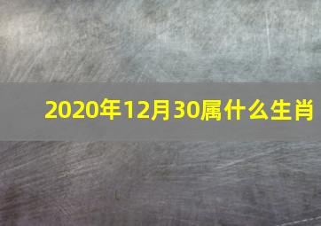 2020年12月30属什么生肖