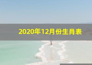 2020年12月份生肖表