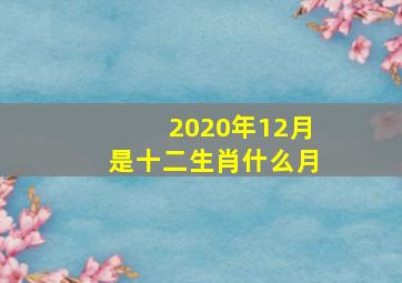 2020年12月是十二生肖什么月