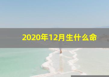 2020年12月生什么命