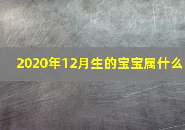 2020年12月生的宝宝属什么