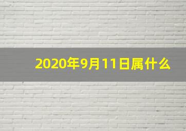 2020年9月11日属什么