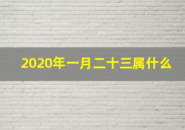 2020年一月二十三属什么