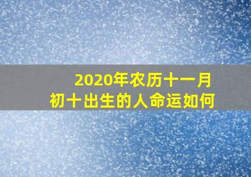 2020年农历十一月初十出生的人命运如何