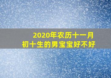 2020年农历十一月初十生的男宝宝好不好