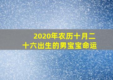 2020年农历十月二十六出生的男宝宝命运