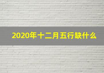 2020年十二月五行缺什么