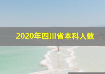 2020年四川省本科人数