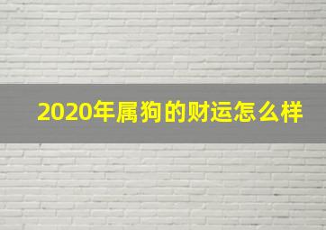 2020年属狗的财运怎么样