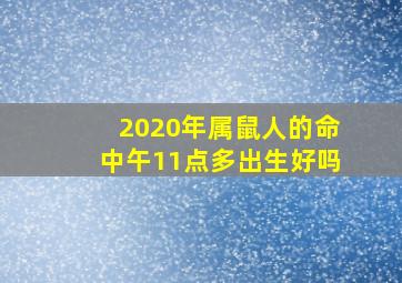 2020年属鼠人的命中午11点多出生好吗