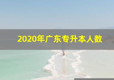 2020年广东专升本人数