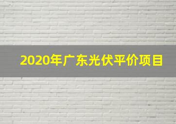 2020年广东光伏平价项目