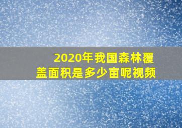 2020年我国森林覆盖面积是多少亩呢视频