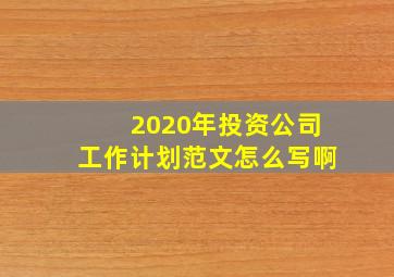 2020年投资公司工作计划范文怎么写啊