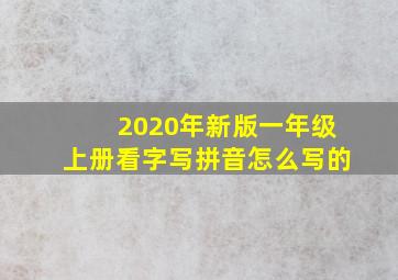 2020年新版一年级上册看字写拼音怎么写的