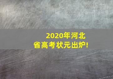 2020年河北省高考状元出炉!