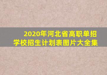 2020年河北省高职单招学校招生计划表图片大全集