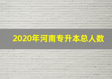 2020年河南专升本总人数