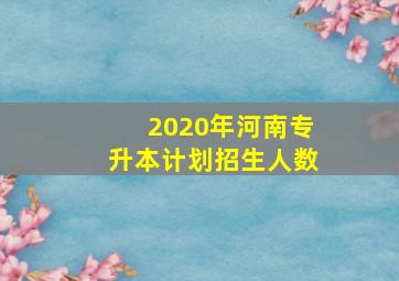 2020年河南专升本计划招生人数