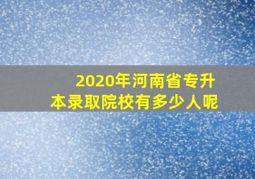 2020年河南省专升本录取院校有多少人呢