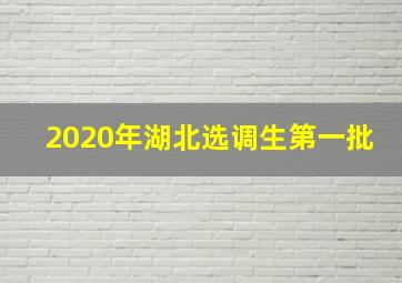 2020年湖北选调生第一批