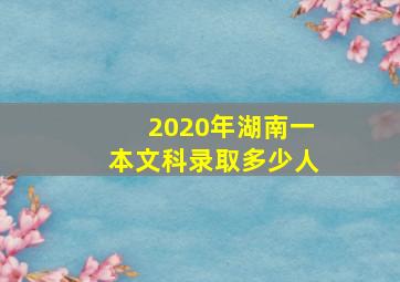 2020年湖南一本文科录取多少人