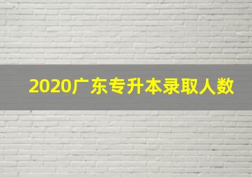 2020广东专升本录取人数