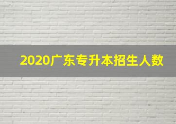 2020广东专升本招生人数